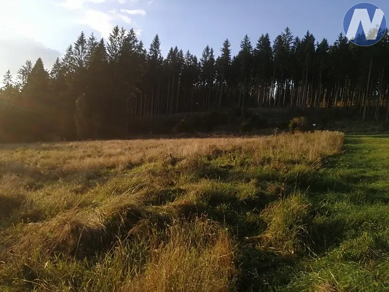 Fotka 15 z 16